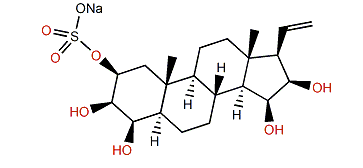 Ptilosteroid A